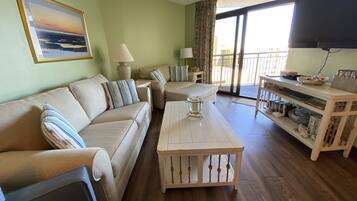 TV, DVD player, books, video library