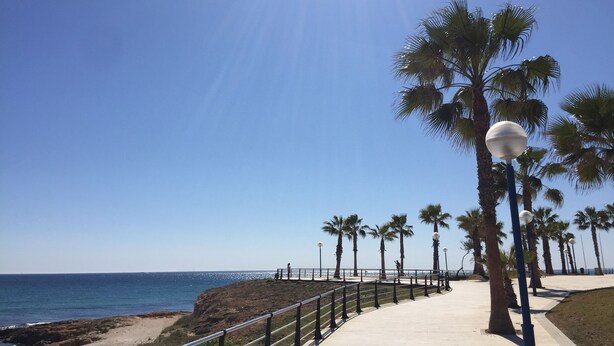 A coastal walkway with palm trees and a clear sky.