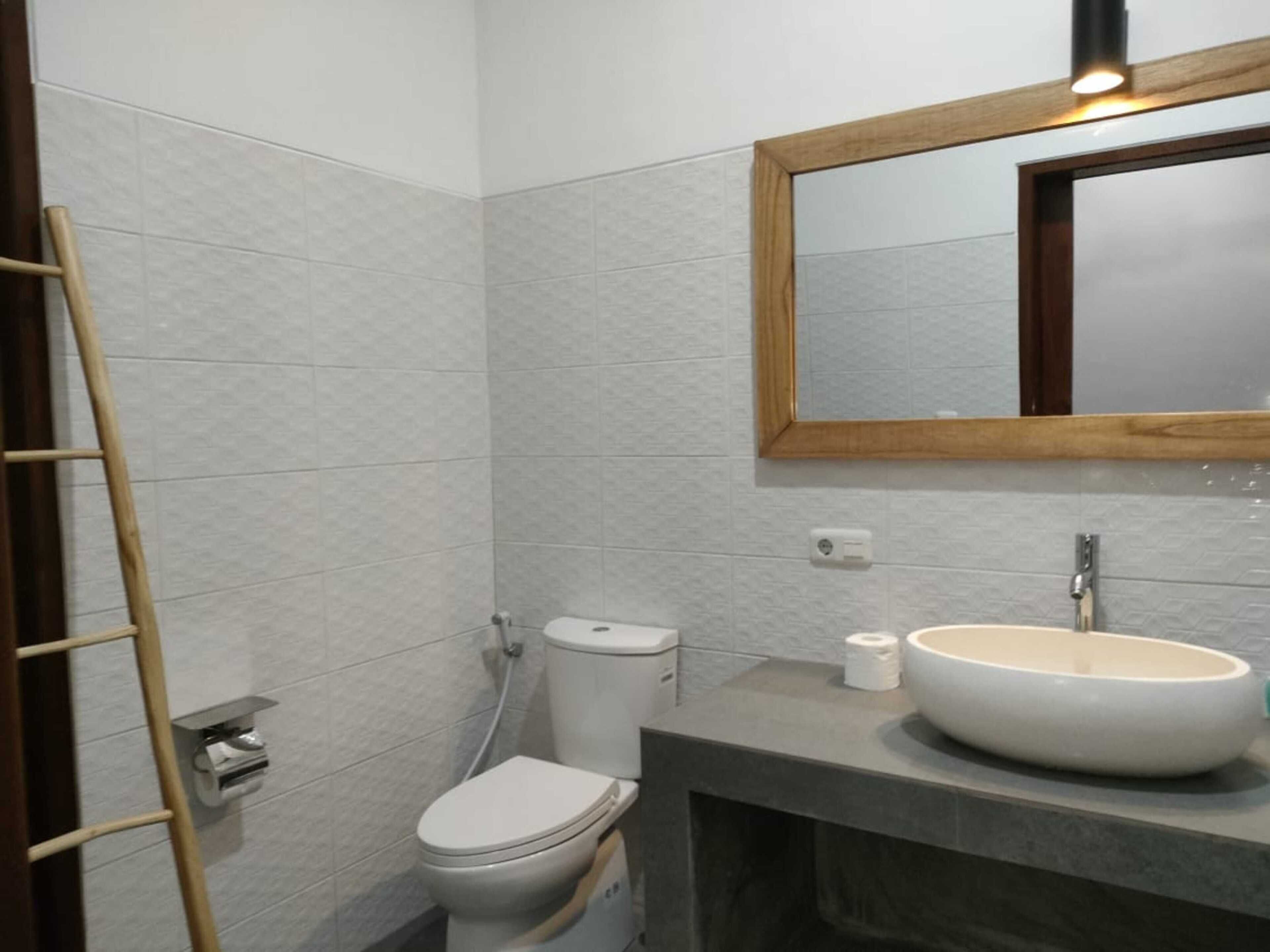 Une salle de bain équipée de toilettes, d’un lavabo, d’un miroir et d’une échelle en bois.
