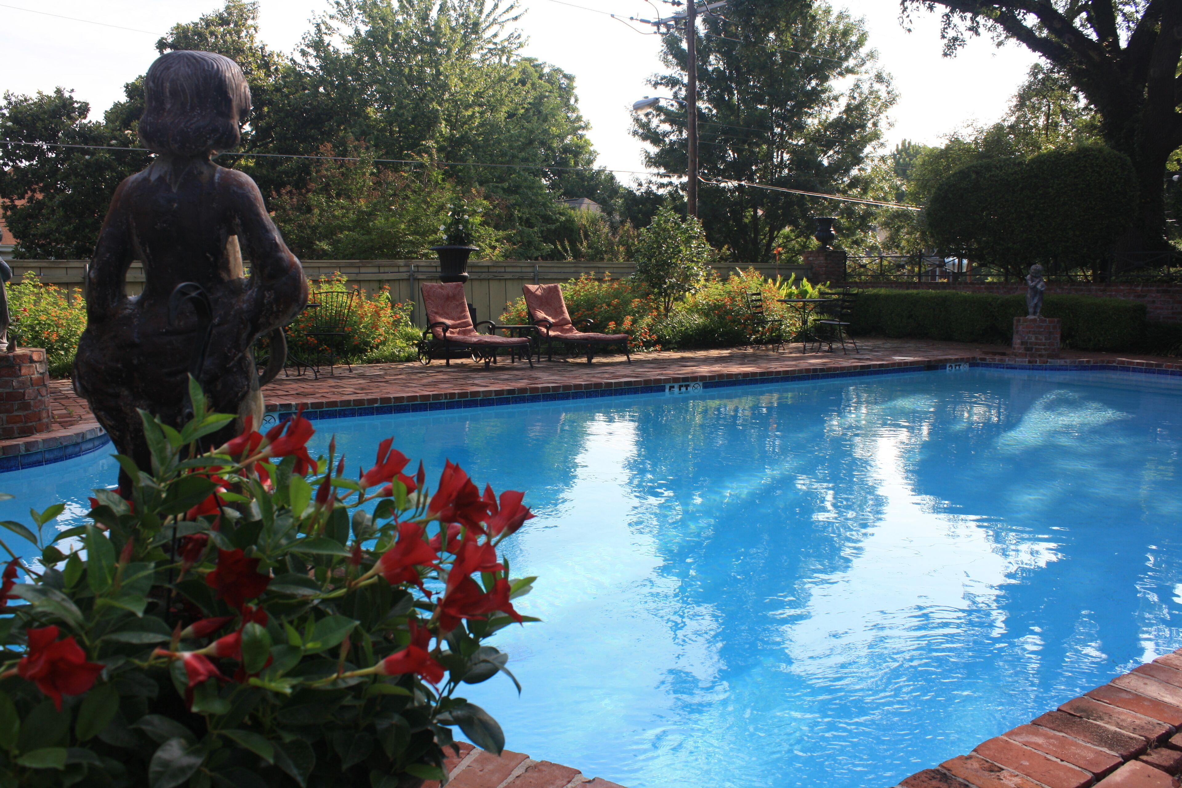 Outdoor pool, pool loungers