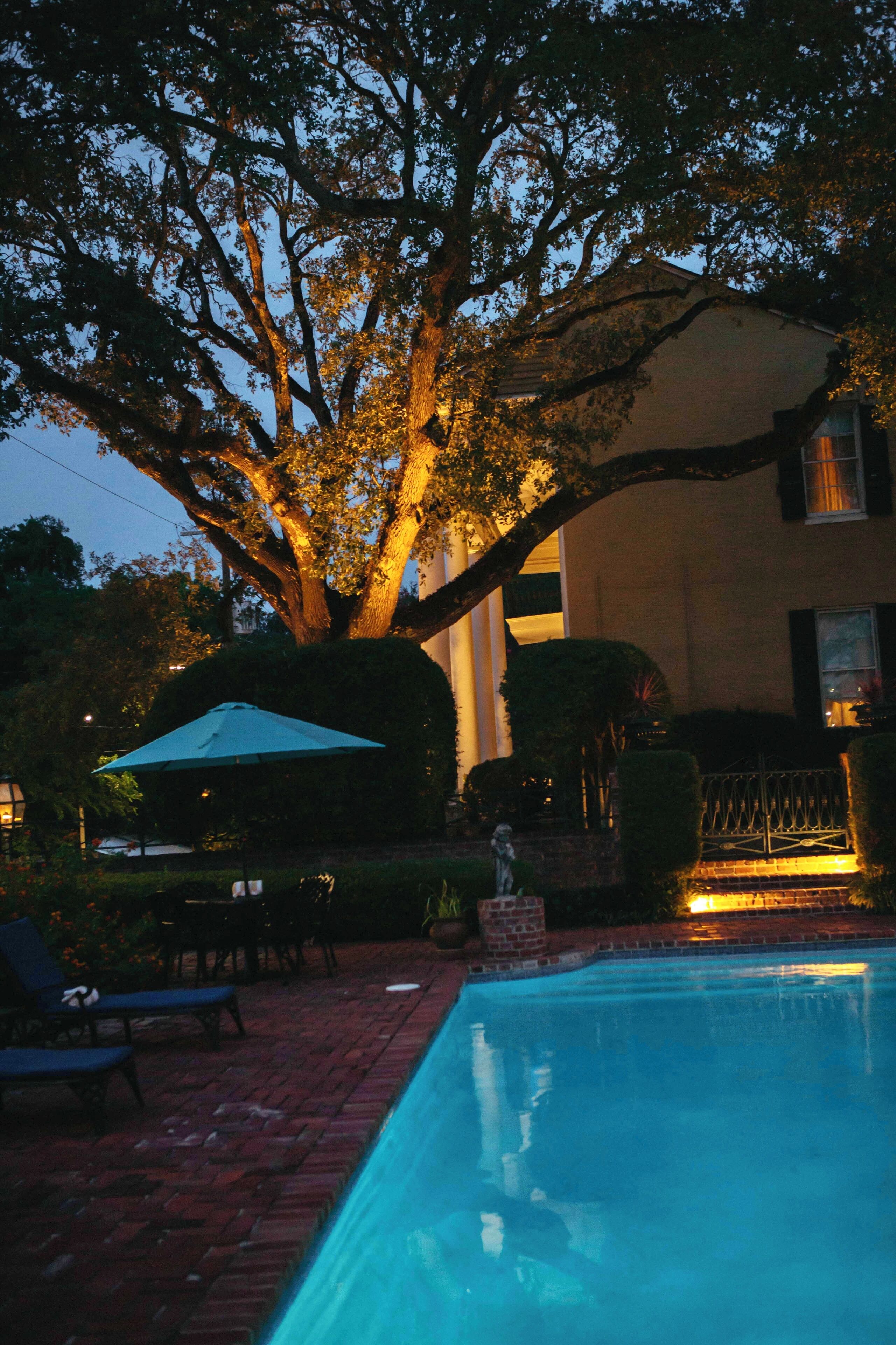 outdoor pool, pool loungers