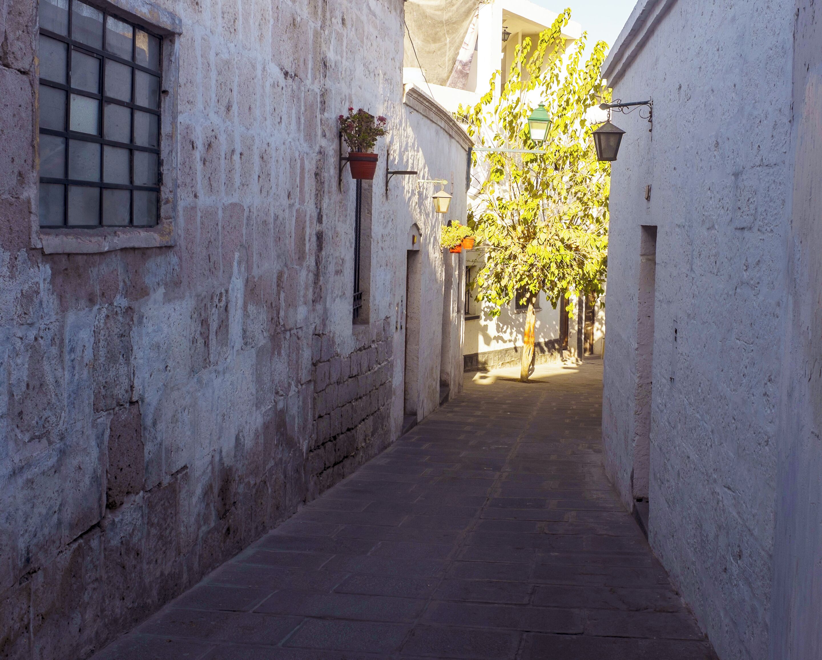 Un estrecho callejón con paredes blancas, una ventana con rejas y una planta en maceta.