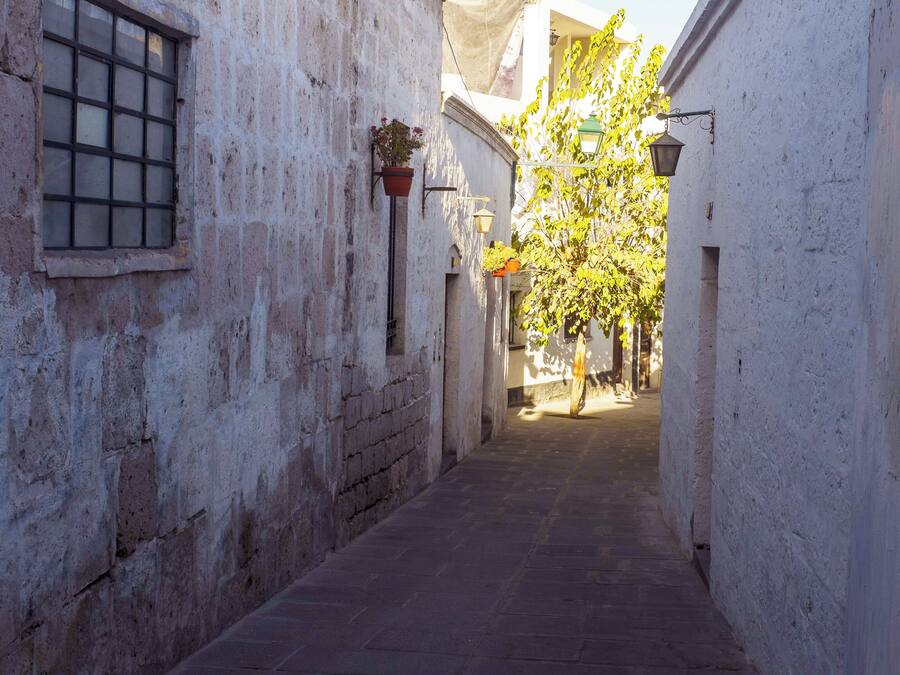 Un estrecho callejón con paredes blancas, una ventana con rejas y una planta en maceta.