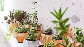 43-inch flat-screen TV with cable channels, TV