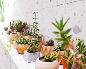 43-inch flat-screen TV with cable channels, TV - Hotel La Casa de Irma Arequipa (Arequipa)