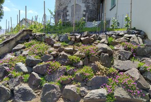 A rocky garden with pink flowers and a building in the background. - Unusual stay in a mill on the Loire (INGRANDES LE FRESNE SUR LOIRE)