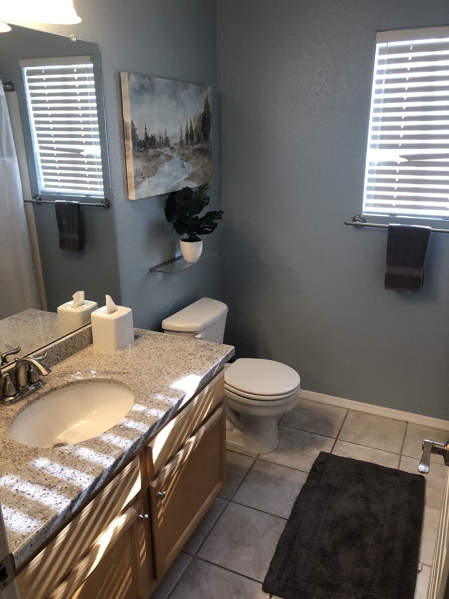 A bathroom with a granite countertop sink, a toilet, a towel rack, a potted plant, and a painting on the wall.