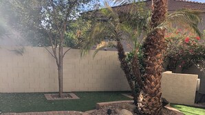 A paved pathway leading to a landscaped area with a palm tree and a small rock garden. - Beautiful 2 BR Plus Loft, Attached 2 Car Garage, Recently Updated! (Scottsdale)