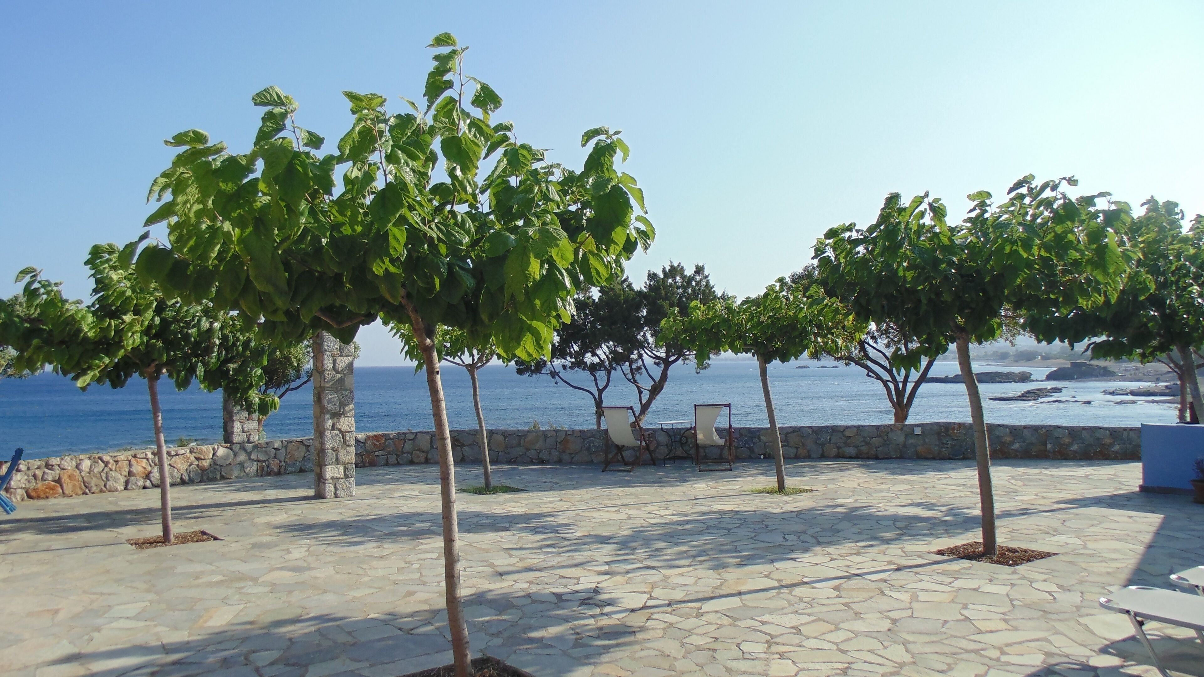 A paved outdoor area with stone flooring, trees, and a stone wall.