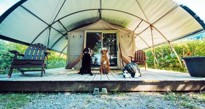 Long Point Eco-Adventures