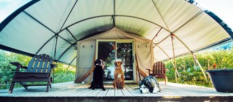 Long Point Eco-Adventures