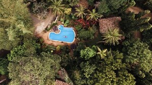 Eine Luftaufnahme einer Anlage mit einem Schwimmbecken, umgeben von dichtem tropischem Grün, darunter Palmen und verschiedene Sträucher.