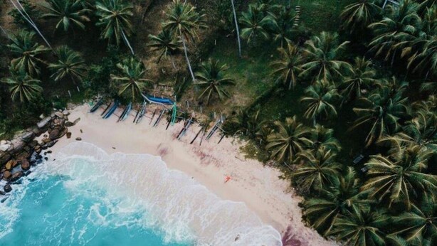 Eine Vogelperspektive zeigt einen Strand mit klarem türkisblauem Wasser, einem sandigen Ufer und Palmenreihen.