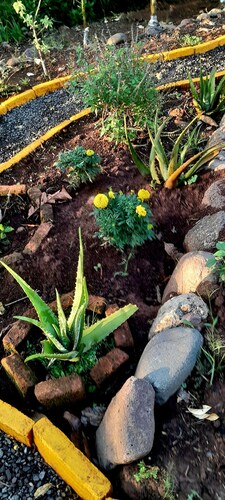 Matagalpa la Tierra Land Of Dreams