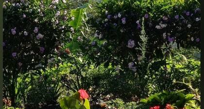 Matagalpa la Tierra Land Of Dreams