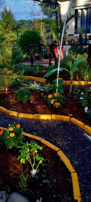 A garden with various plants and a pathway. - Matagalpa la Tierra Land Of Dreams (San Ramon)