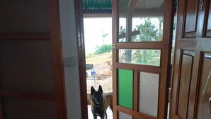 A doorway leading to an outdoor area with a dog standing outside. - Matagalpa la Tierra Land Of Dreams (San Ramon)