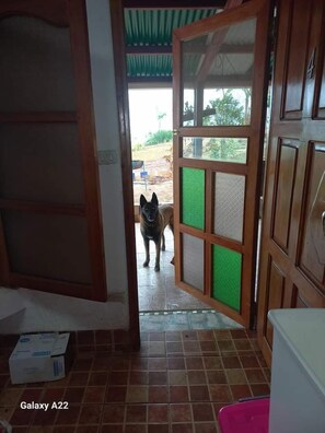 Decoración personalizada y espacio para trabajar con laptop 