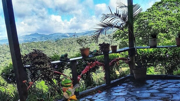 A covered outdoor area with a stone floor, potted plants, and a view of a mountainous landscape. - Matagalpa la Tierra Land Of Dreams (San Ramon)