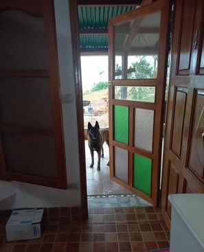 Uma porta de entrada para área externa, com um cão parado do lado de fora.