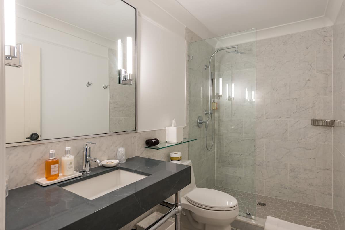 shower, hair dryer, bathrobes, slippers