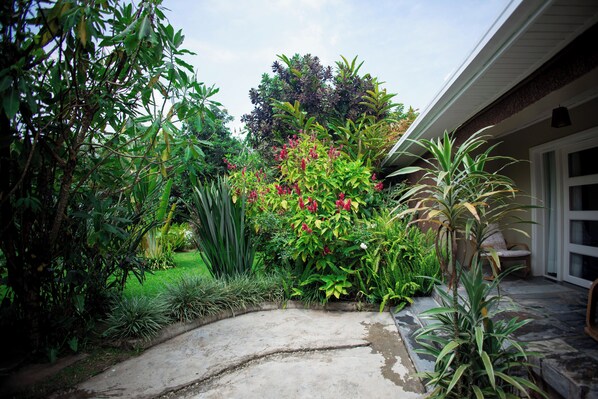 Un jardín con un sendero curvo que lleva a una casa.