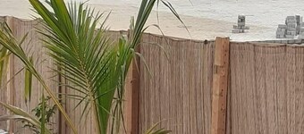 馬約卡海灘 Flex