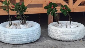 Una estructura de madera con diseño geométrico, posiblemente una terraza o balcón, con dos macetas de neumáticos que contienen plantas pequeñas y rocas.
