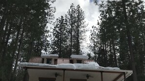 A lodge with a snow-covered roof, surrounded by tall pine trees. - You will love our beautifully furnished cottage in the woods (Shingletown)