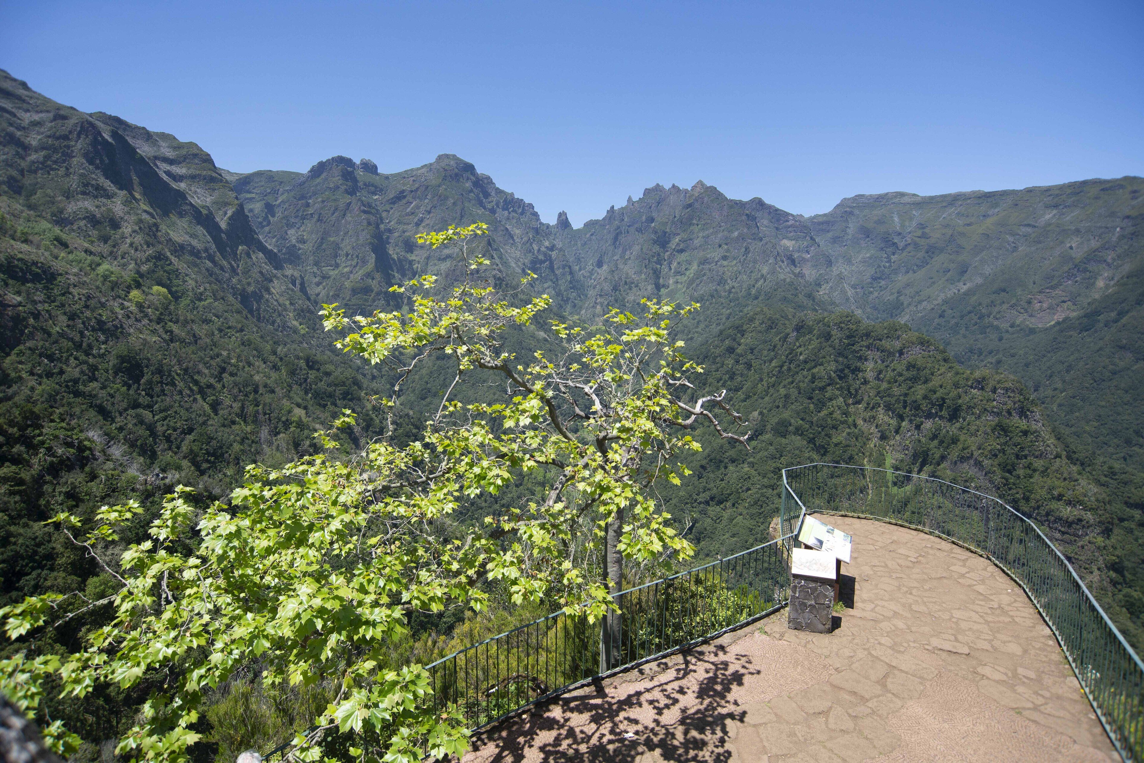 Photo - Casa do Ribeiro Frio