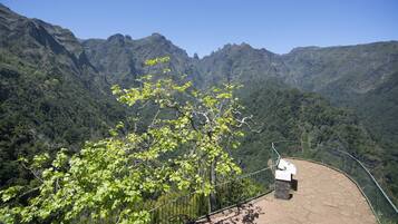 A stone pathway with a metal railing, surrounded by lush greenery and mountains in the background.