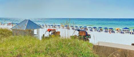 Playa en los alrededores