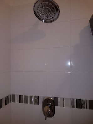Shower, towels, toilet paper