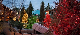 Historische Williamsburg 3 slaapkamers Deluxe Prime locatie