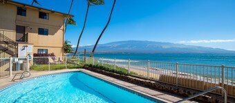 My Perfect Stays: New Listing Special! 249 dollar 28 dec-18 januari Oceanfront Resort