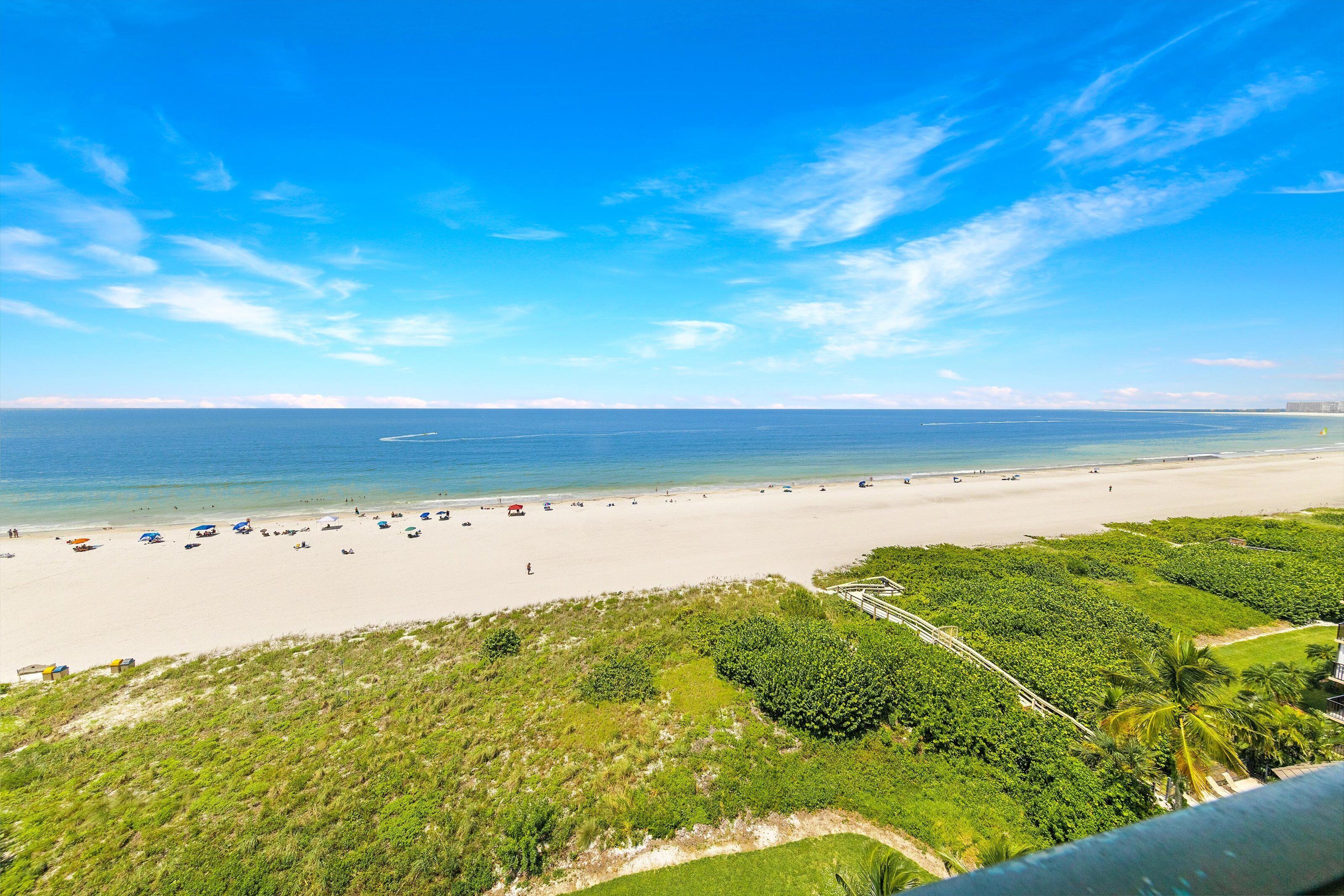 Una spiaggia con cielo sereno, una riva sabbiosa e vegetazione rigogliosa sullo sfondo.