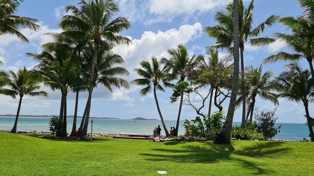 A grassy area with palm trees and a view of the ocean.