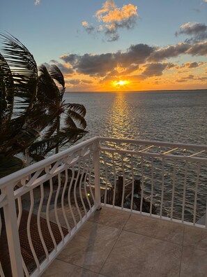 A balcony with a view of the sunset over the water, palm trees, and a railing.