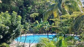 Une piscine entourée d’une végétation tropicale luxuriante.