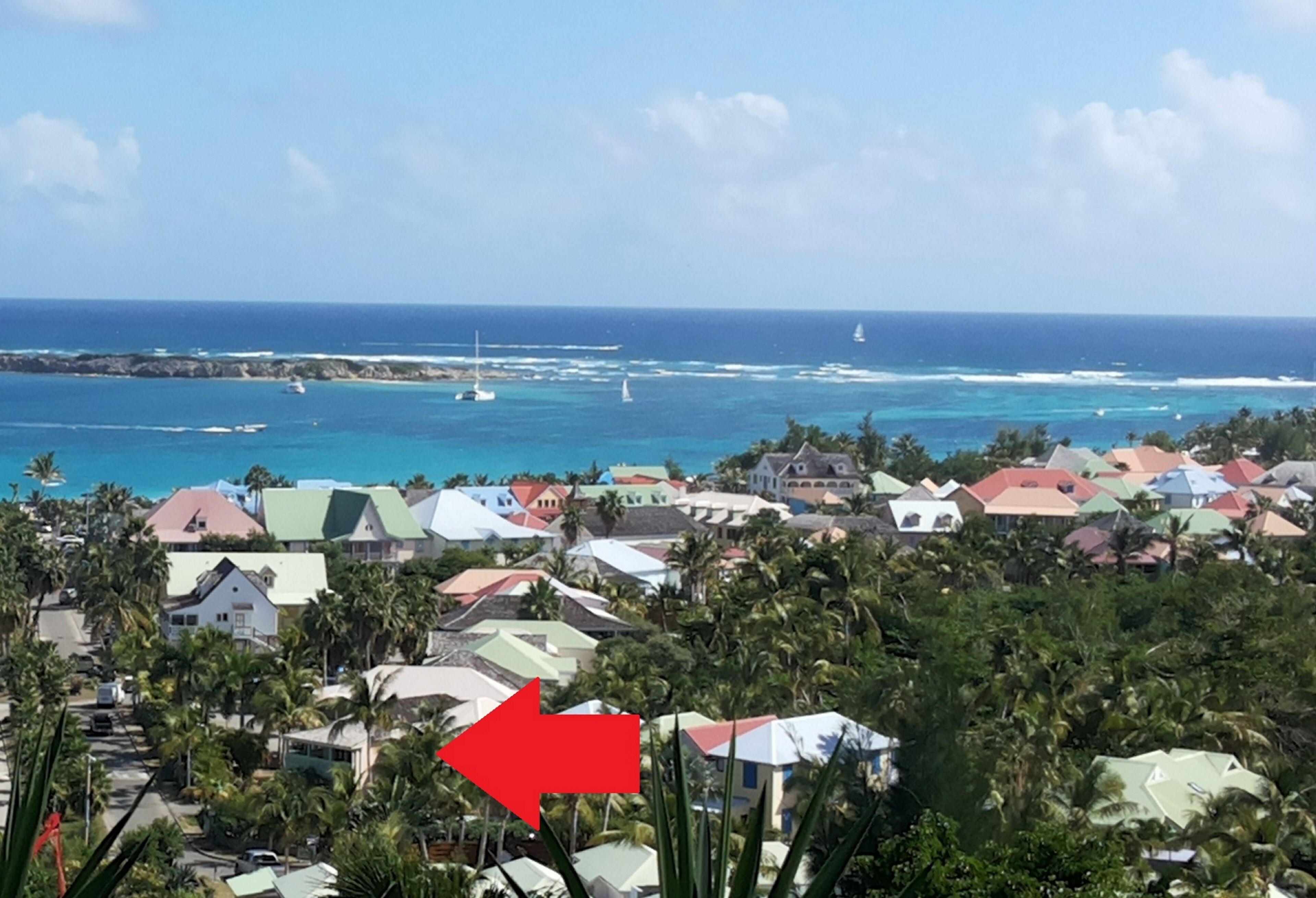 A coastal town with houses, palm trees, and the ocean.