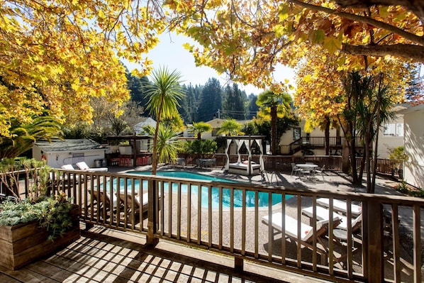 Outdoor pool, pool umbrellas, pool loungers