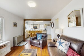 Télévision, cheminée, lecteur de DVD