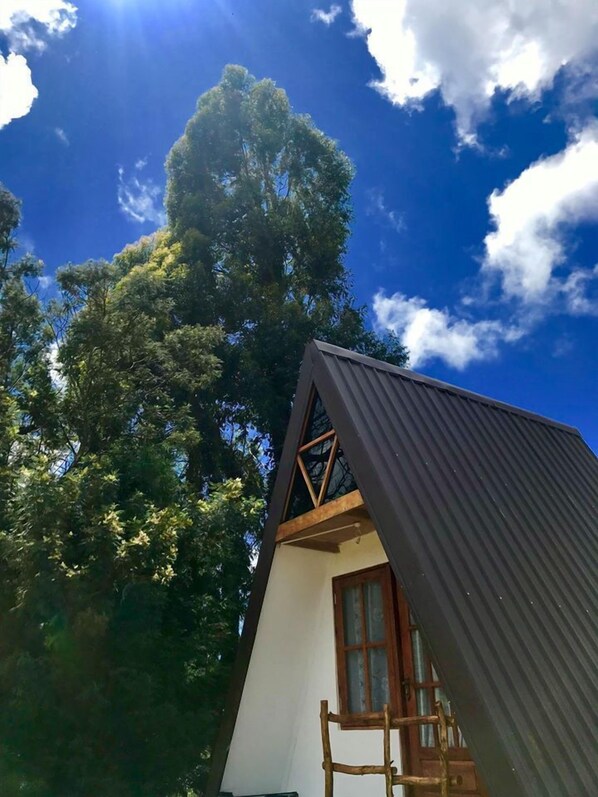 Exterior - La Luna Cabins (Nuwara Eliya)