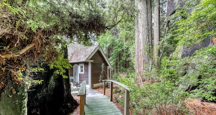 Serene retreat surrounded by redwoods