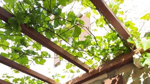 Un bâtiment doté d’une façade en pierre, d’une porte en bois et d’une fenêtre avec des volets.