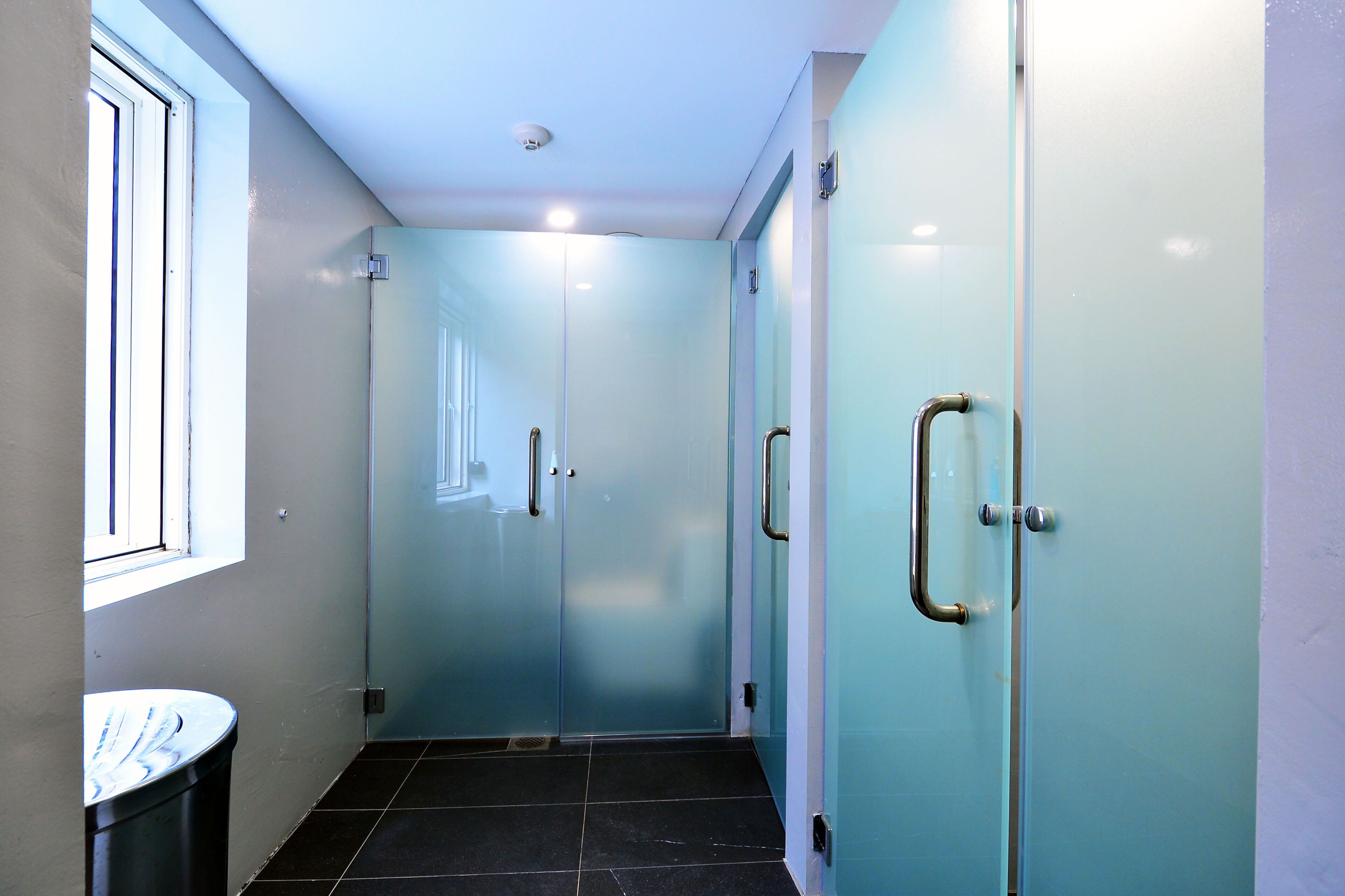 Foto - Wink at McCallum Street