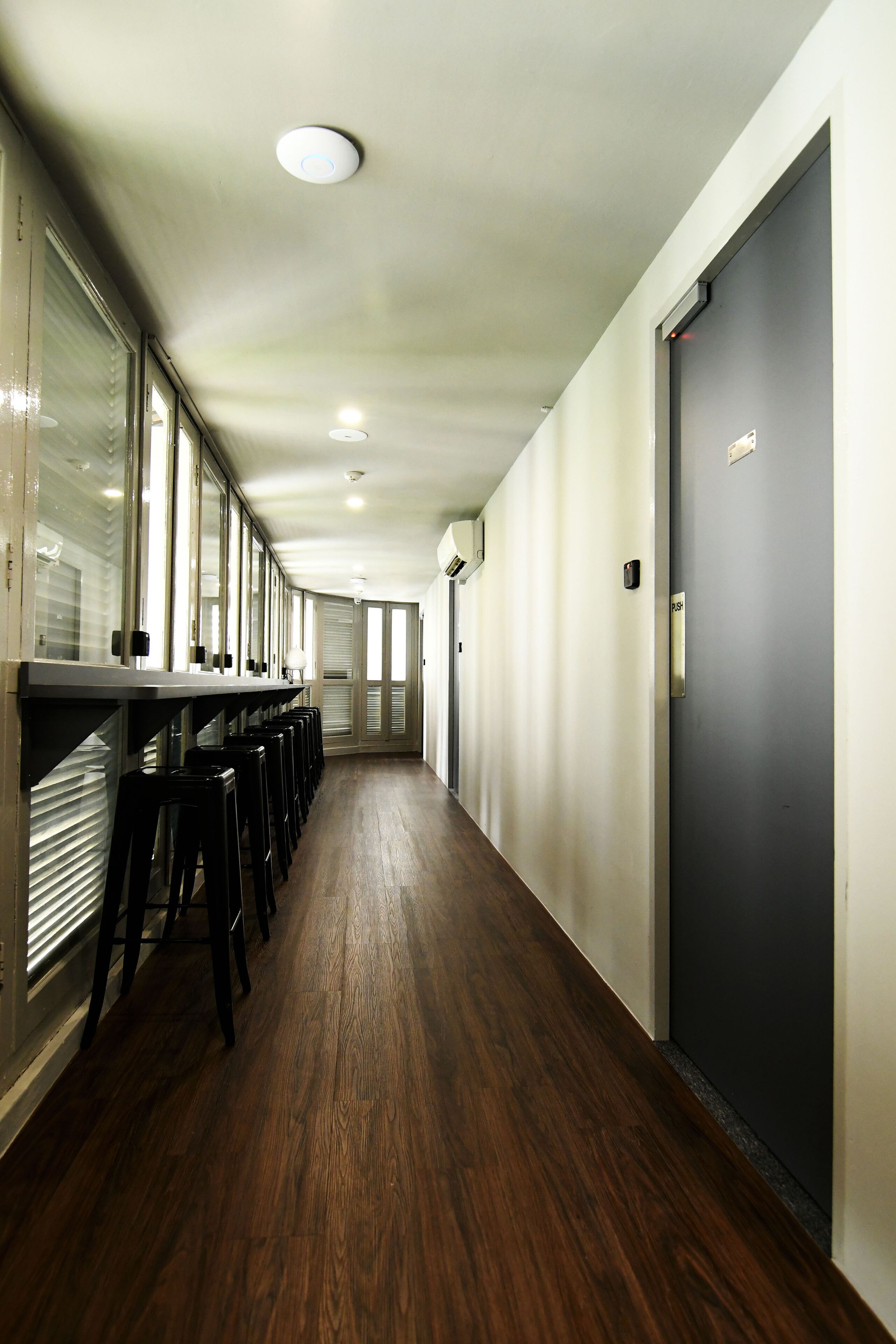 Foto - Wink at McCallum Street