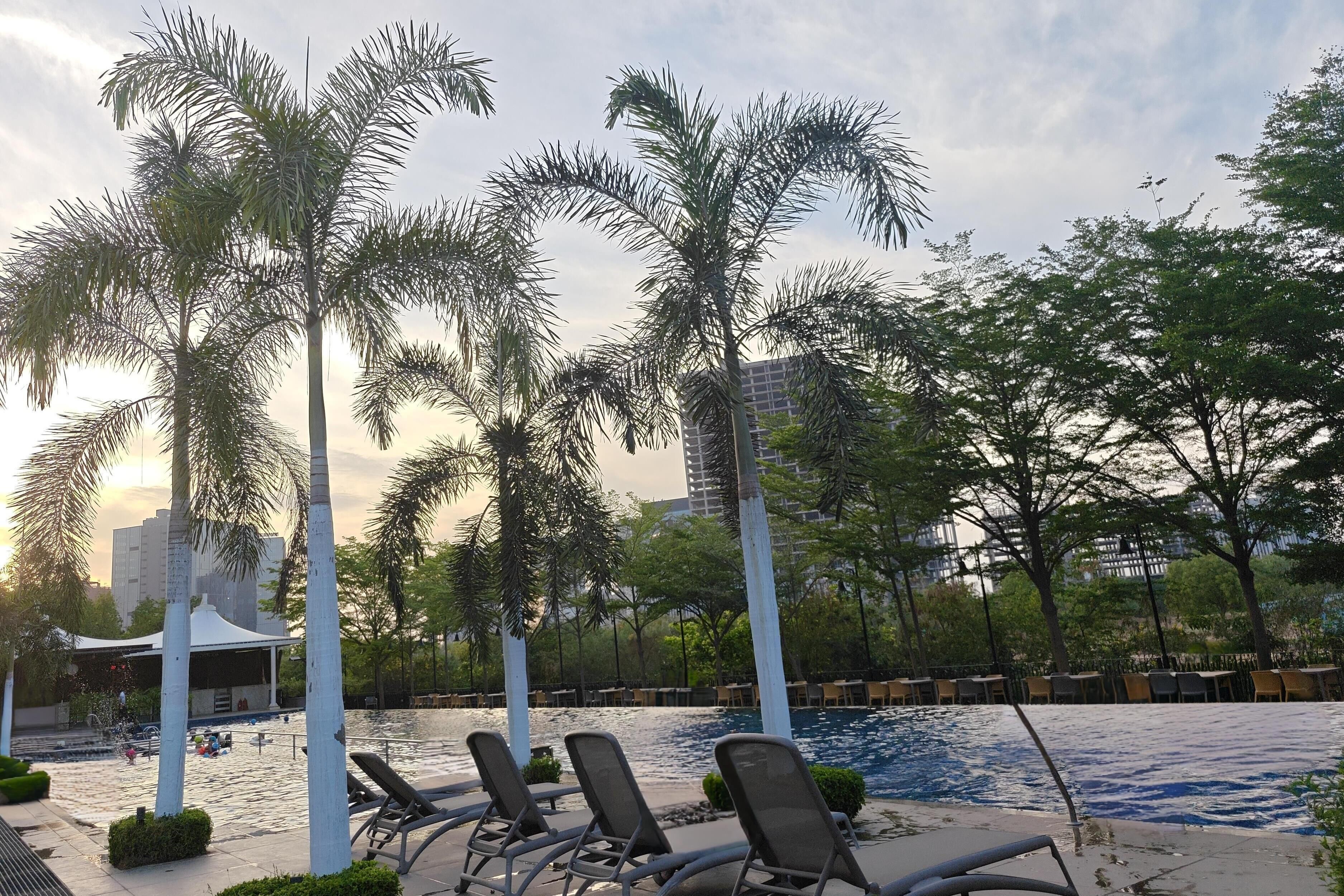 A poolside area with lounge chairs, palm trees, and a building in the background.
