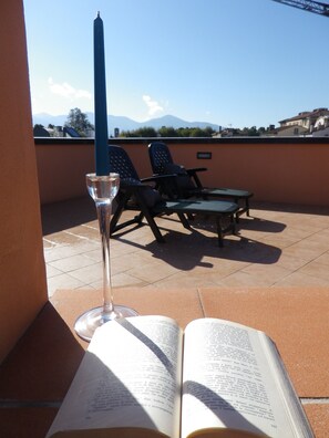 Terrace/patio - Apartment with a magnificent terrace just outside Lucca (Lucca)