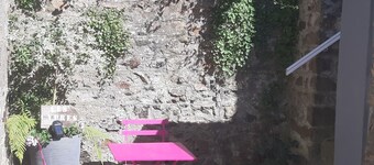 cypres in der nähe von st malo